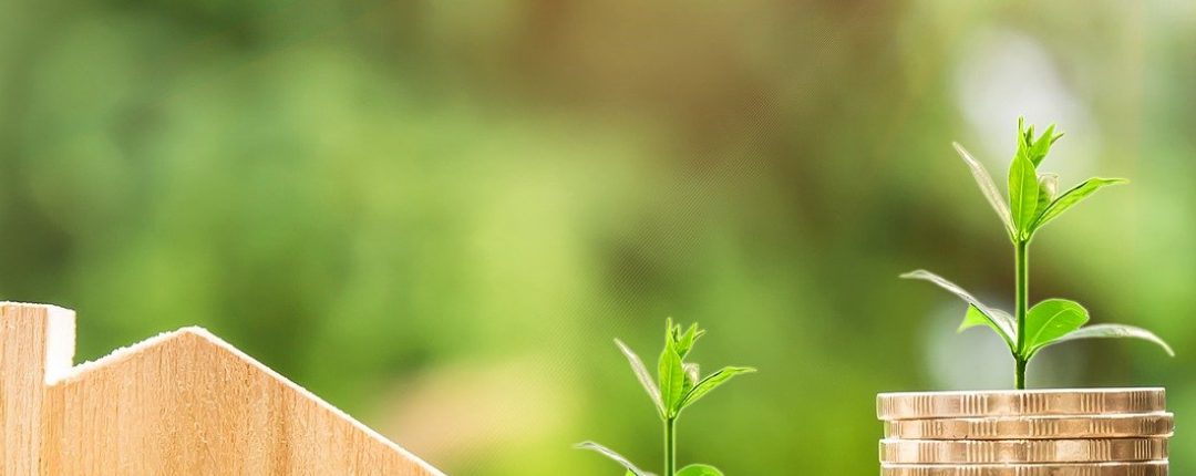 Minnesota Mortgage Options Guide for Home Buyers