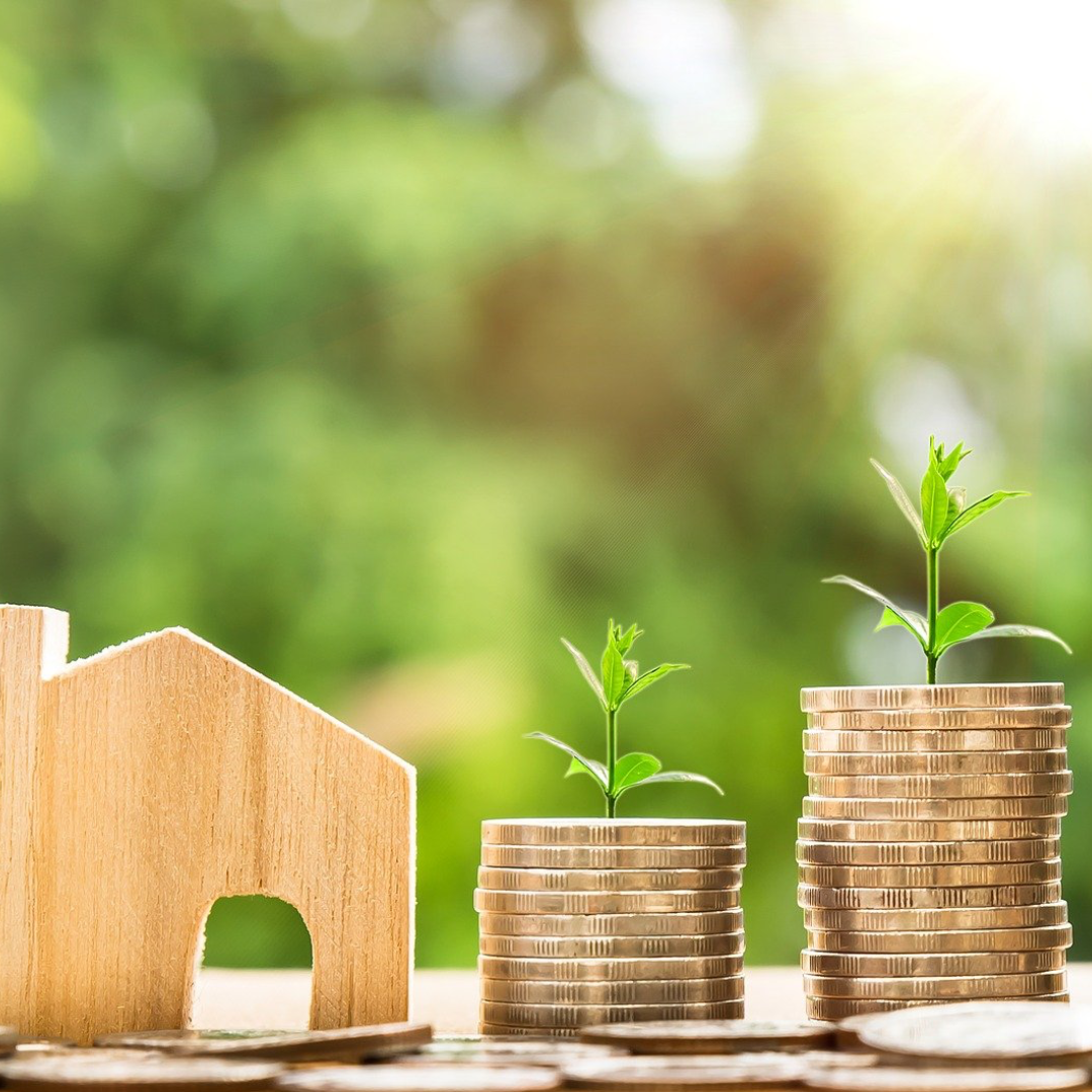 Minnesota Mortgage Options Guide for Home Buyers